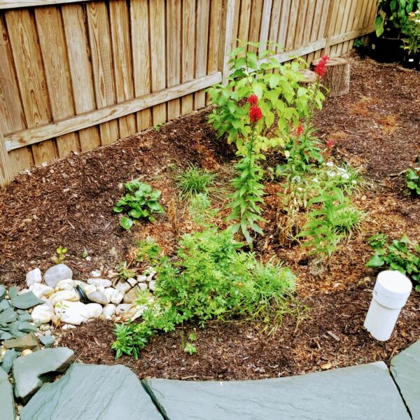 Native landscapes page(2) Native landscapes page(2)